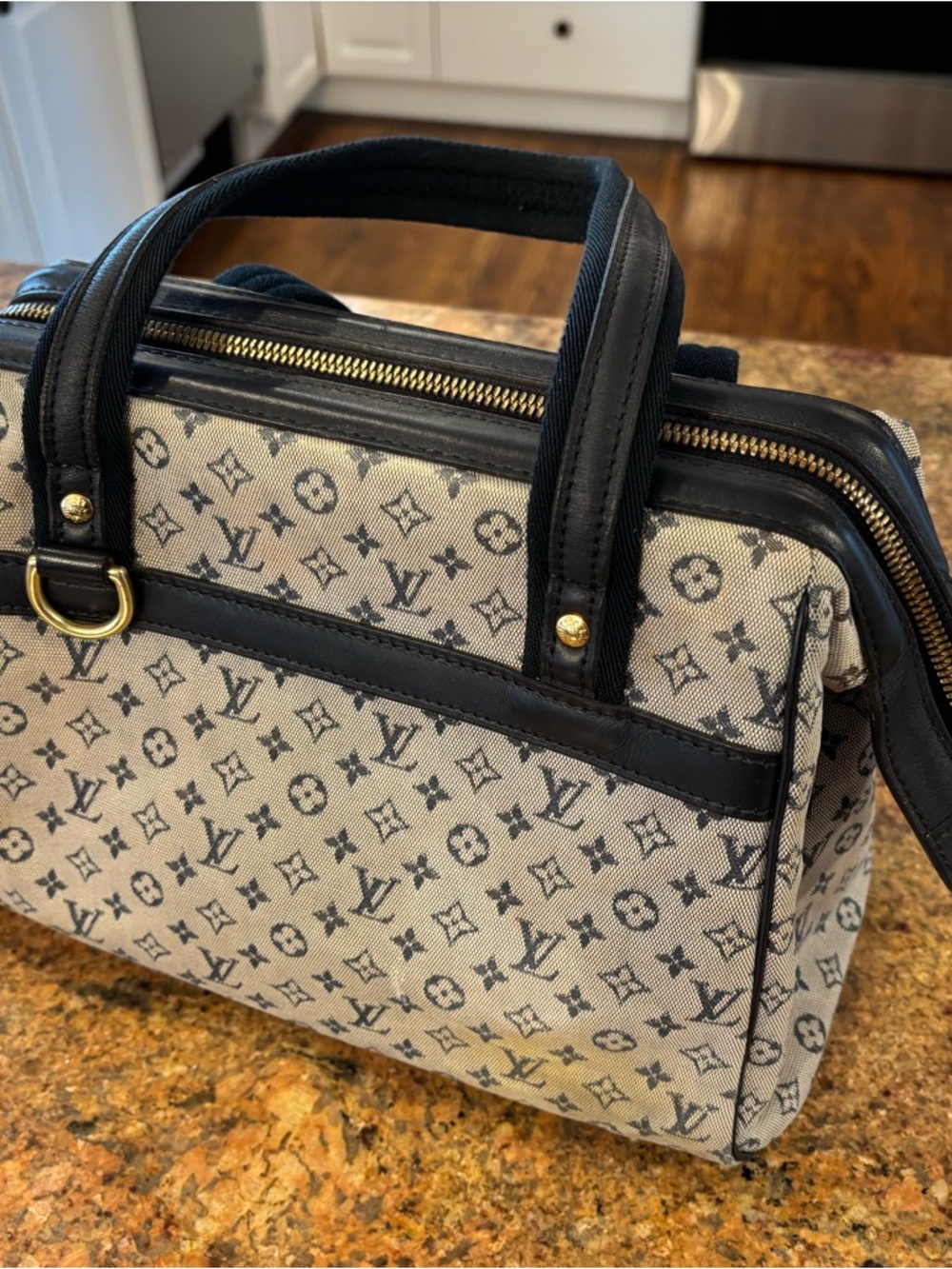 Louis Vuitton Purse - Monogram Mini Lin Josephine PM - Picture 5 of 12
